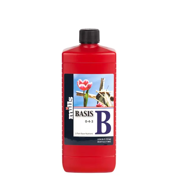 Mills Basis B 1 Lt