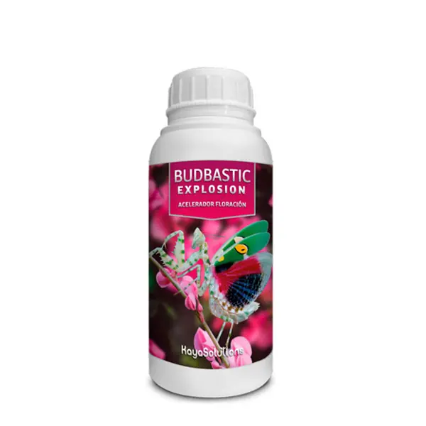 Budbastic Explosion 250 ml. Kayasolutions