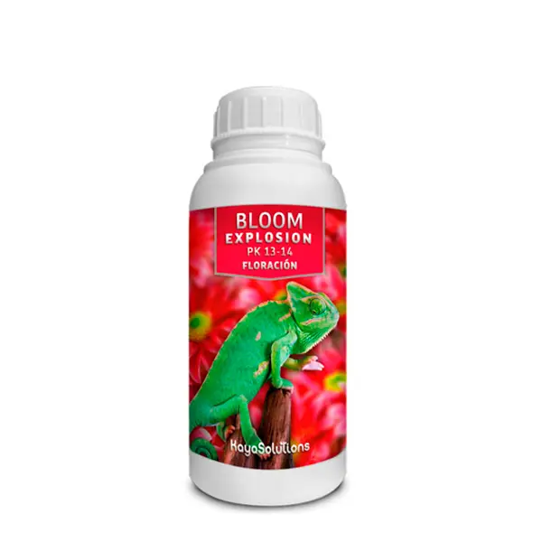 Bloom Explosion 300 ml. Kayasolutions