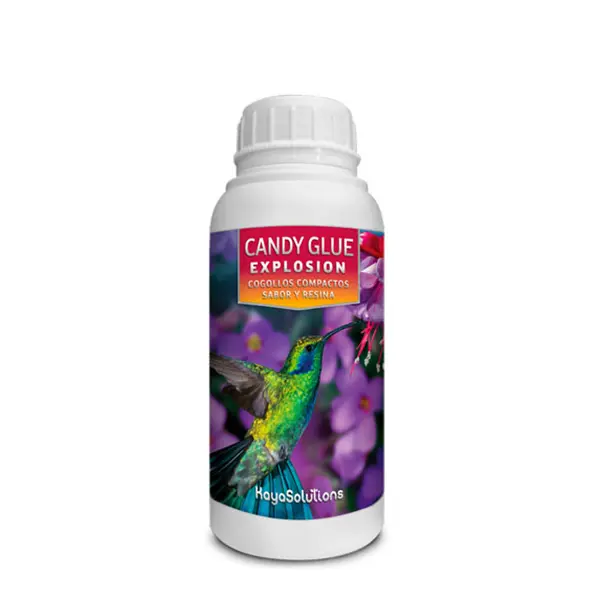 Candy Glue Explosion 250 ml. Kayasolutions