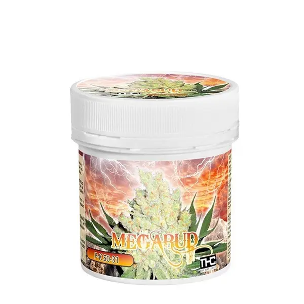 Megabud 100 gr.
