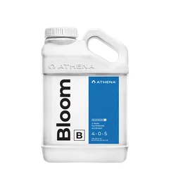 Bloom B 0.94 lt. Athena