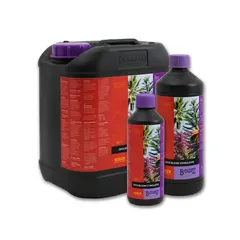 Coco Bloom Stimulator 500 ml. Atami B'cuzz