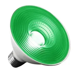Bombilla LED Agrolite Darknight 20 w (Verde)